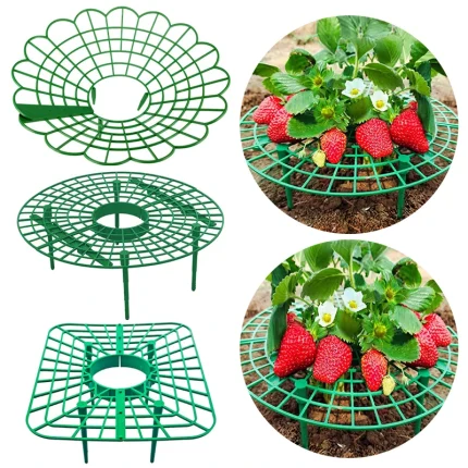 Green Strawberry Planting Stand Plastic Plant Support Cage Garden Anti-rot Strawberry Growing Racks Holder with 3/4Sturdy Legs