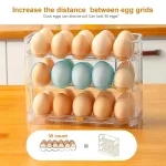 Kitchen Large Capacity Egg Fridge Storage Box - Portable Multi-Layer Egg Tray Organizer, Auto Opening/Closing Egg Holder 3